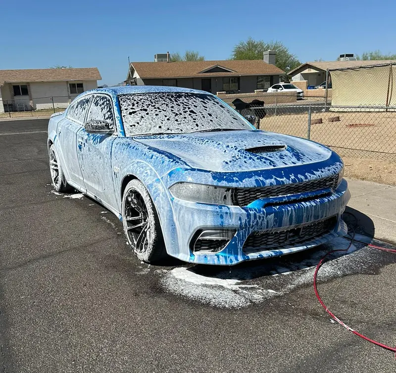 Professional vehicle detailing result